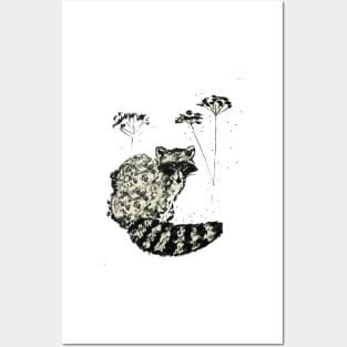 Raccoon Posters and Art